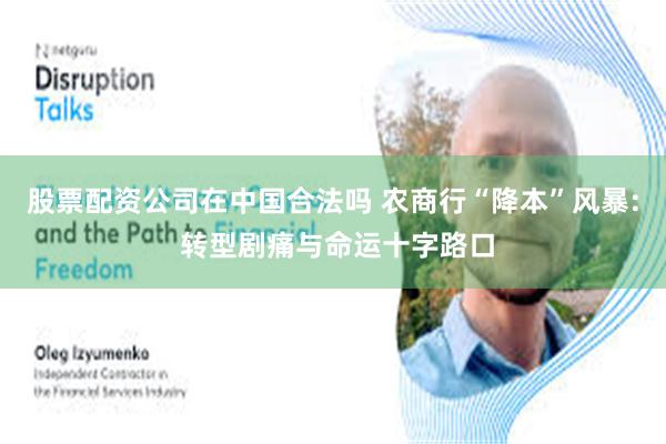 股票配资公司在中国合法吗 农商行“降本”风暴: 转型剧痛与命运十字路口