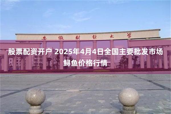 股票配资开户 2025年4月4日全国主要批发市场鲟鱼价格行情
