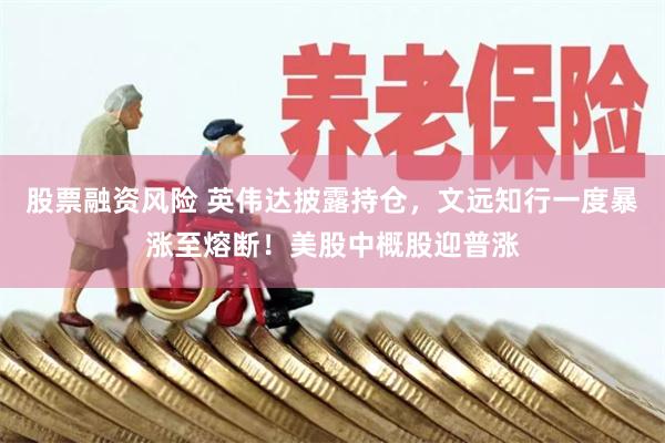 股票融资风险 英伟达披露持仓，文远知行一度暴涨至熔断！美股中概股迎普涨