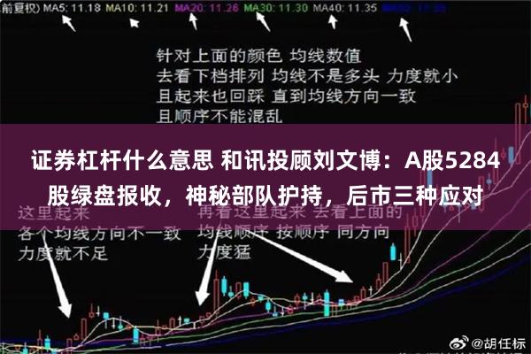 证券杠杆什么意思 和讯投顾刘文博：A股5284股绿盘报收，神秘部队护持，后市三种应对