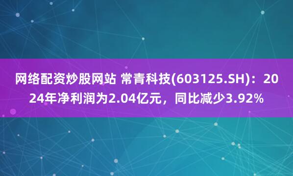 网络配资炒股网站 常青科技(603125.SH)：2024年净利润为2.04亿元，同比减少3.92%