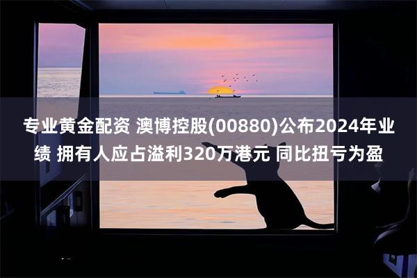 专业黄金配资 澳博控股(00880)公布2024年业绩 拥有人应占溢利320万港元 同比扭亏为盈