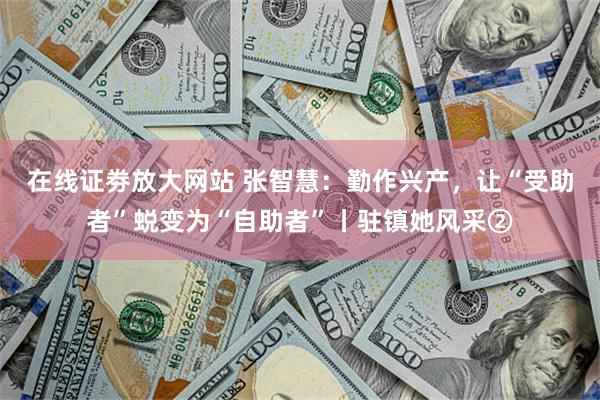 在线证劵放大网站 张智慧：勤作兴产，让“受助者”蜕变为“自助者”丨驻镇她风采②