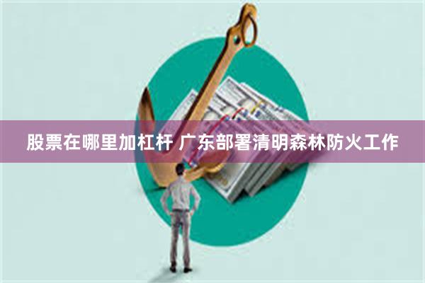 股票在哪里加杠杆 广东部署清明森林防火工作