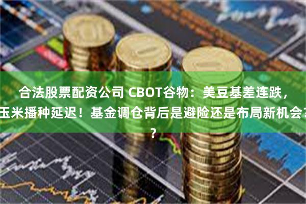 合法股票配资公司 CBOT谷物：美豆基差连跌，玉米播种延迟！基金调仓背后是避险还是布局新机会？