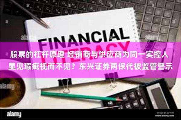 股票的杠杆原理 经销商与供应商为同一实控人 显见瑕疵视而不见？东兴证券两保代被监管警示