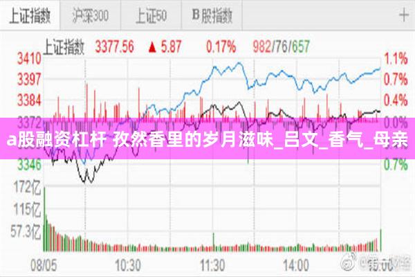 a股融资杠杆 孜然香里的岁月滋味_吕文_香气_母亲