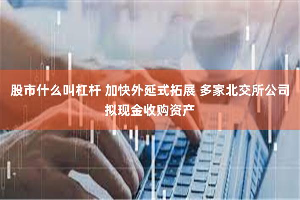 股市什么叫杠杆 加快外延式拓展 多家北交所公司拟现金收购资产