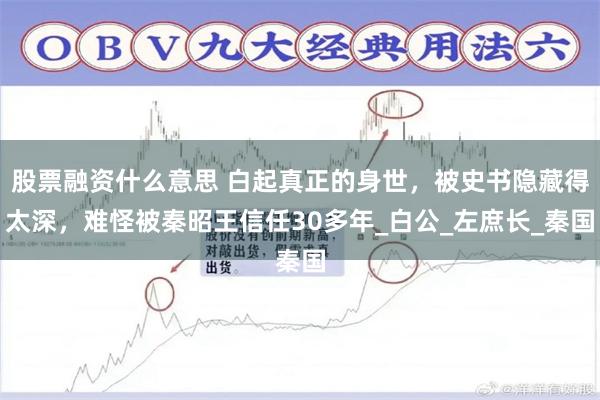 股票融资什么意思 白起真正的身世，被史书隐藏得太深，难怪被秦昭王信任30多年_白公_左庶长_秦国