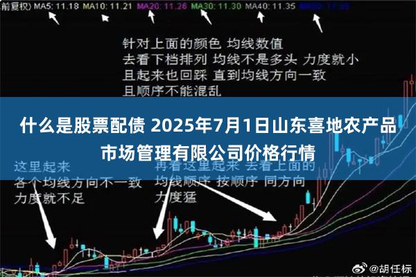 什么是股票配债 2025年7月1日山东喜地农产品市场管理有限公司价格行情